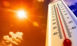 Aşırı sıcaklar can alıyor