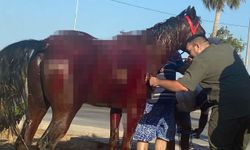 Sahilde ata otomobil çarptı: 3 yaralı