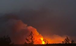 Mersin'de orman yangını: Müdahale sürüyor