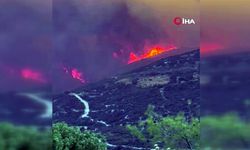 Orman yangınında ölü sayısı 2'ye yükseldi