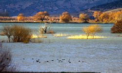 Avlan Gölü'nü kurtaracak proje