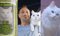 Bulana 10 bin TL verecek