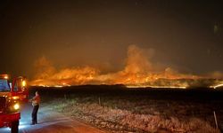 52 bin dönümden fazla alan kül oldu