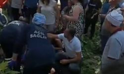 Çınar ağacı vatandaşların üzerine düştü