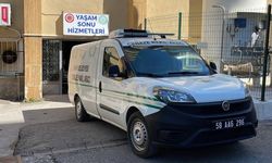 Kene kabusu devam ediyor