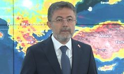 Antalya'daki orman yangını tamamen kontrol altına alındı