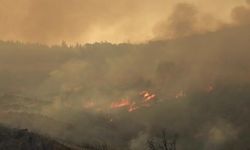 Çanakkale'deki yangında 126 vatandaş tahliye edildi