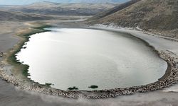 Binlerce küçükbaş hayvana ev sahipliği yapıyor