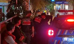 Tekirdağ orman yangını: 1 şüpheli gözaltında