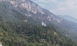 Karabük’te orman yangını