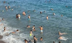 Nüfusu 800 bine ulaştı