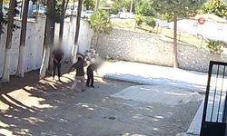 Başkan zabıtaları sopayla dövdü