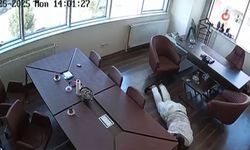 Tekstil firmasına silahlı saldırı