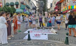 Hayvanseverler sokağa çıktı