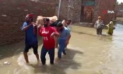 Can kaybı 785’e yükseldi