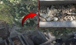 'Define var' diyerek mezarlığa dadandılar!