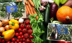 Çiftçilere 'mavi bayrak'