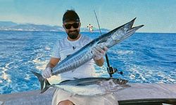 Akdeniz tropikalleşiyor