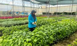 Yeşil alanlar kadınlara emanet