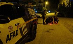 Dağdan atılan işaret fişeği alarma geçirdi