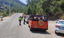 Safari araçlarına yönelik denetim