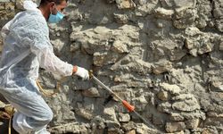 Akrepler, köyü istila etti