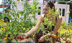 Büyükşehirden kadınlara üretim desteği