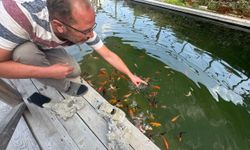 Balıklara gözü gibi bakıyor