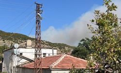 Gelibolu'da orman yangını