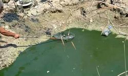Balıkları kurtardı