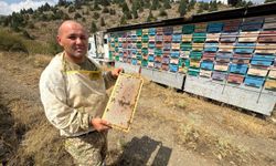 Mobil TIR ile bal üretiyor