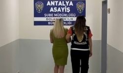 Antalya'da orman mühendisinden dolandırıcılık