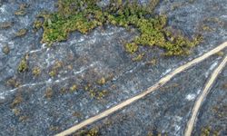 Gelibolu'da yürek burkan görüntü