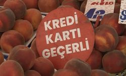 'Kredi kartı kullanımı alışverişi artırır'