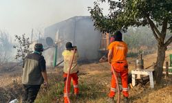 Kocaeli’deki orman yangınına müdahale sürüyor