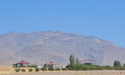 Kuraklık Süphan Dağı’nı da vurdu