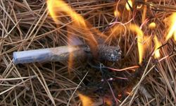 14 farklı noktada orman yangını: 7 ölü