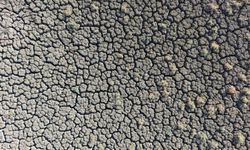 O köyde sular çekildi! Gölet çorak araziye dönüştü