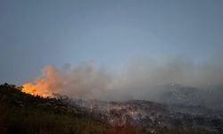Denizli’deki orman yangını kontrol altına alındı