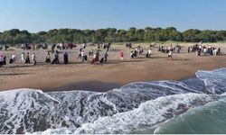 Kumköy Sahili temizlendi