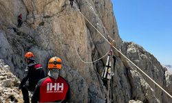 Dağda mahsur kalan keçiler kurtarıldı