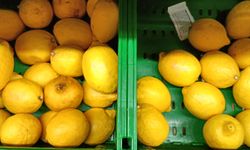 Antalya’da limon fiyatları rekor kırdı