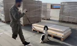 Esrar ve metamfetamine 'gümrük' darbesi