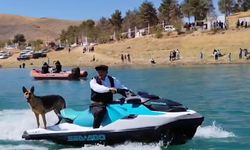 Jet ski yapan köpek güldürdü