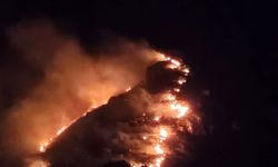 Marmara Adası’nda yangın