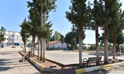 Okul bahçelerine bakım yapılıyor