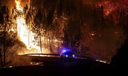 Portekiz'de orman yangını: 3 ölü