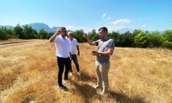 Serik'e GES ve barınak projesi