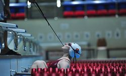 Paralimpik mili yüzücü, Avrupa şampiyonu oldu