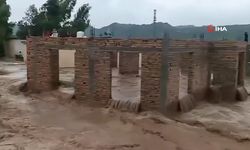 Can kaybı 700'ü aştı